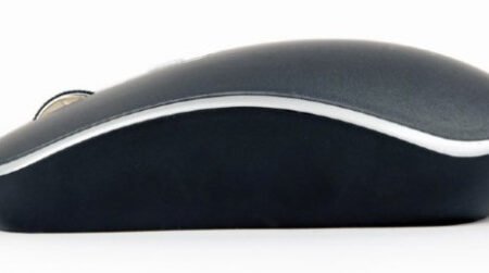 MUSW-4B-06-BS Gembird Bezicni mis 2,4GHz opticki USB 800-1600Dpi black/silver 115mm FO