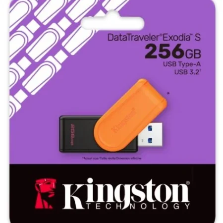 KINGSTON 256GB DTXS/256 USB Flash memorija 3.2 Crna/Naranèasta