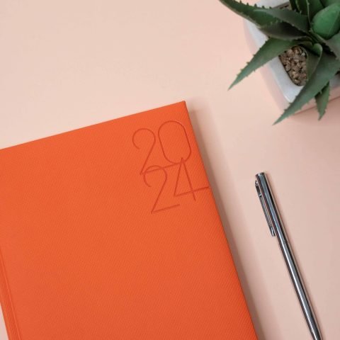 pexels-viridianaor-19797317 (1)